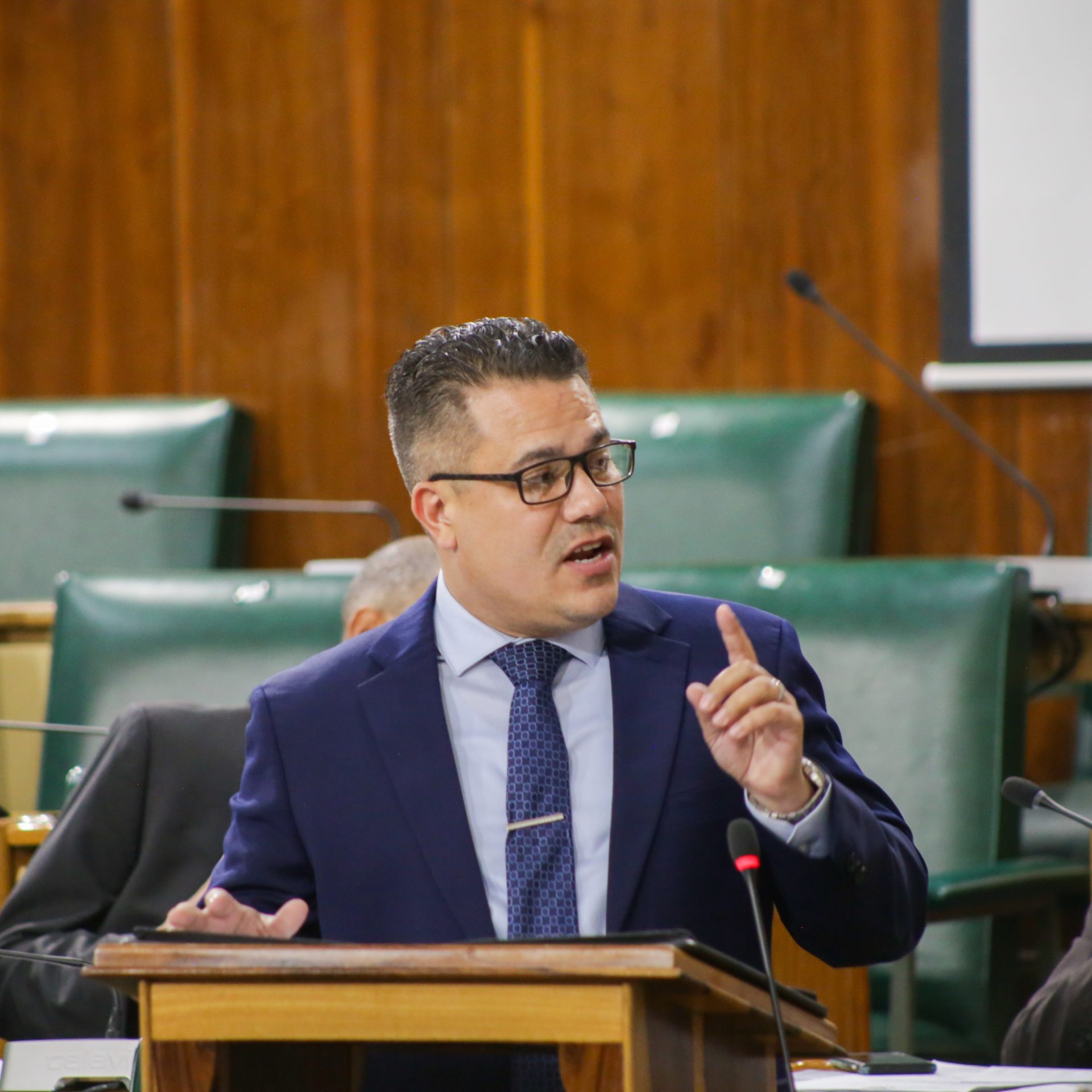 Negril Great Morass and Royal Palm Reserve are to be restored under the GOJ/IWECO Project